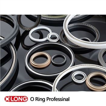 High Performance PTFE Spring Energized Valve Seals
